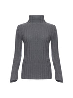 Sminfinity Chilly Ribbed Turtleneck