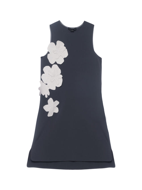 Marie Saint Pierre Holden Dress