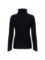 Sminfinity Chilly Ribbed Turtleneck