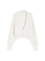 Max Mara Stelvio Knitted Cardigan