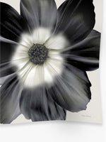 Cinzia Rocca Maxi Pure Flower Cashmere Scarf