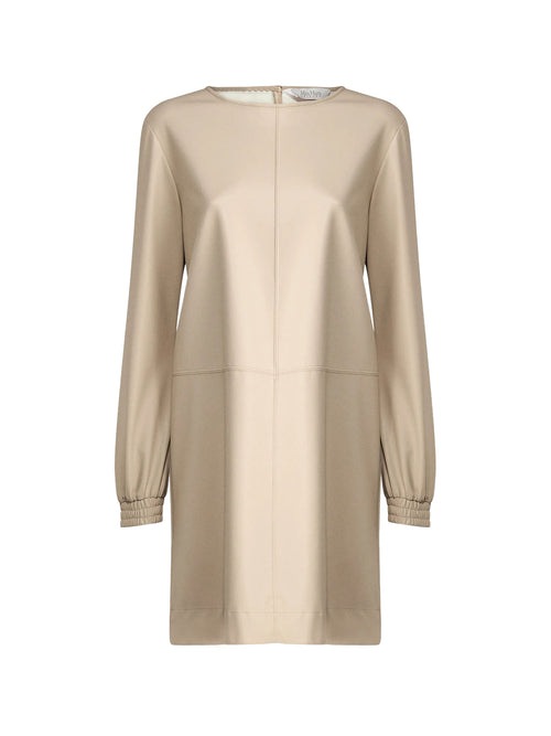 Max Mara Leisure Pepe Day Dress