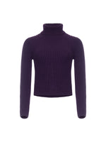Iris Von Arnim Astrid Turtleneck Sweater