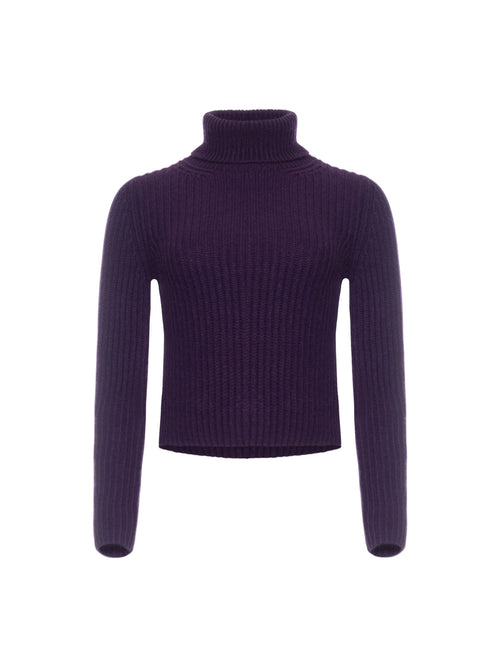 Iris Von Arnim Astrid Turtleneck Sweater