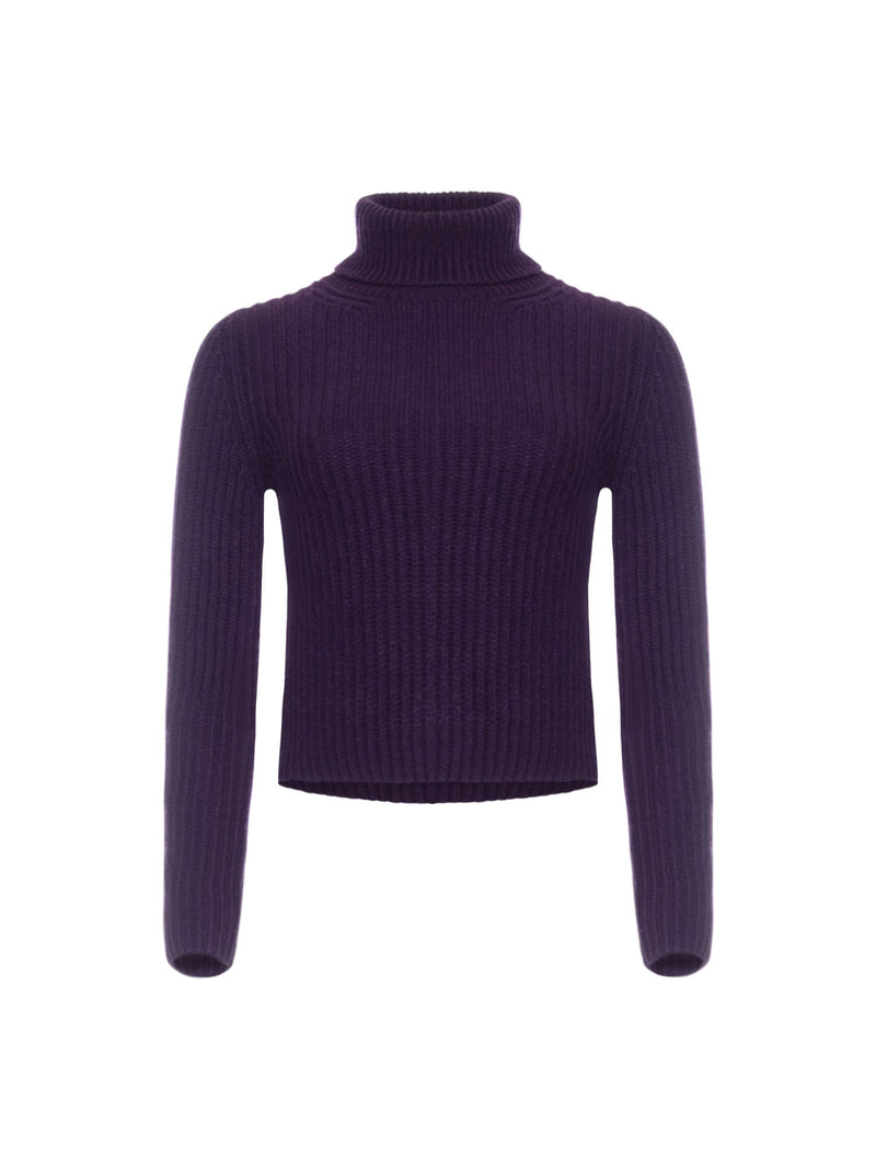 Iris Von Arnim Astrid Turtleneck Sweater