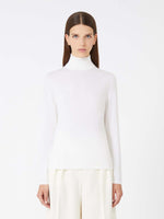 Max Mara Meana Turtleneck