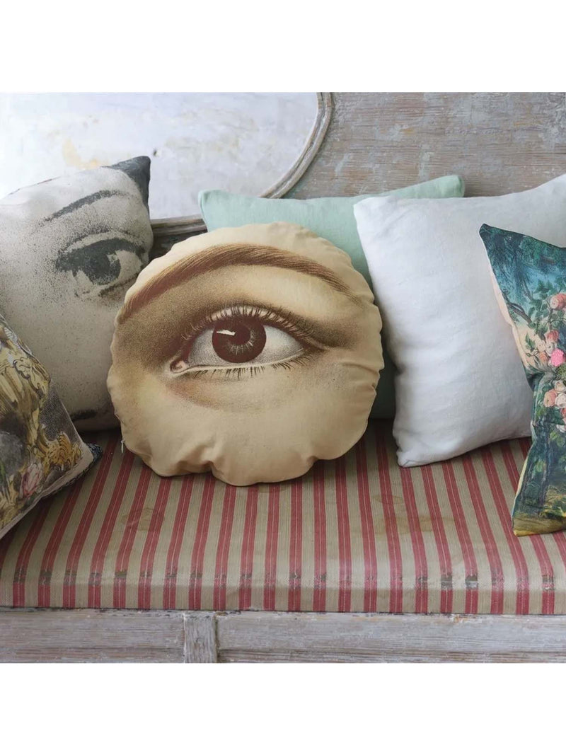John Derian Eye Sepia Pillow 