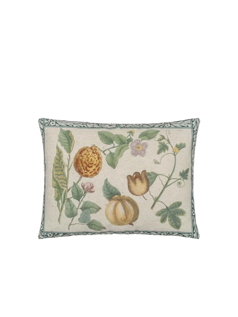 John Derian Lemon Canvas Pillow 